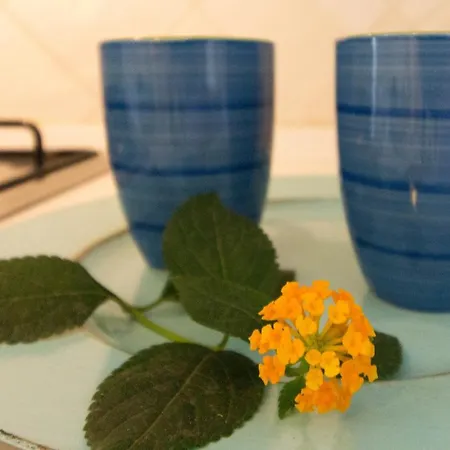 Apartment Pavoncelle - A Con Giardino Privato A Pochi Passi Dal Mare