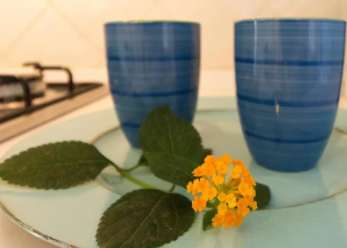 Lejlighed Pavoncelle - A Con Giardino Privato A Pochi Passi Dal Mare